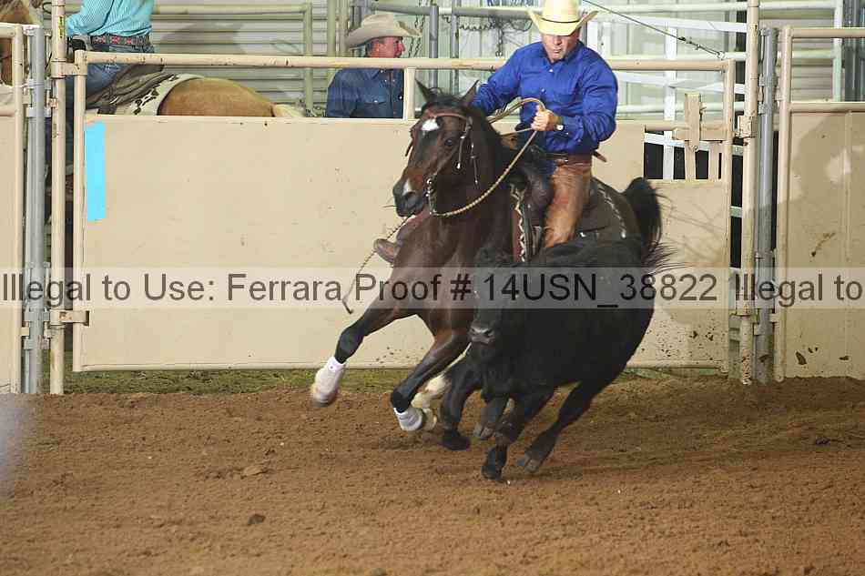 Proof 14usn_38822