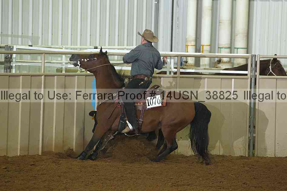 Proof 14usn_38825