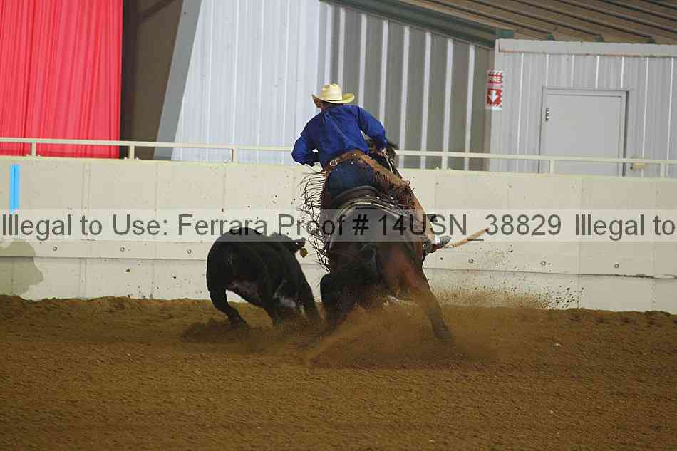 Proof 14usn_38829