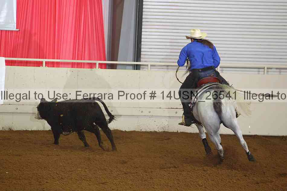Proof 14usn_26541