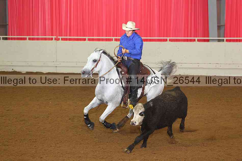 Proof 14usn_26544