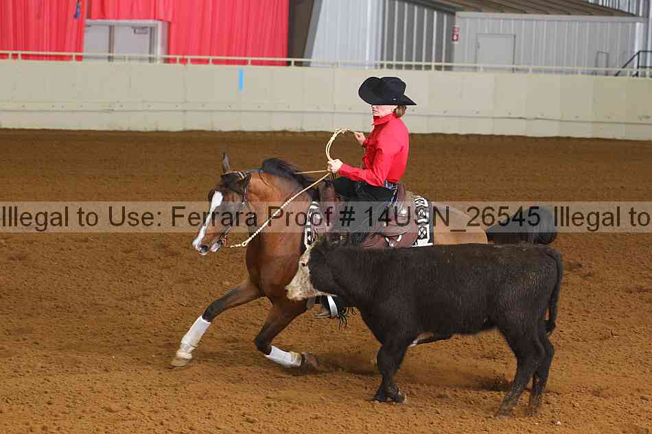 Proof 14usn_26545