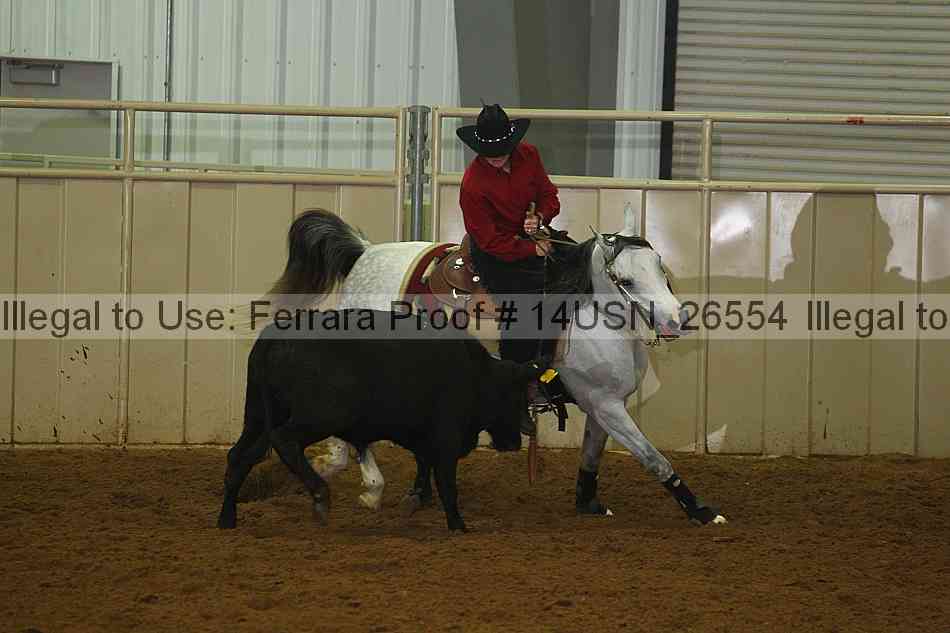 Proof 14usn_26554
