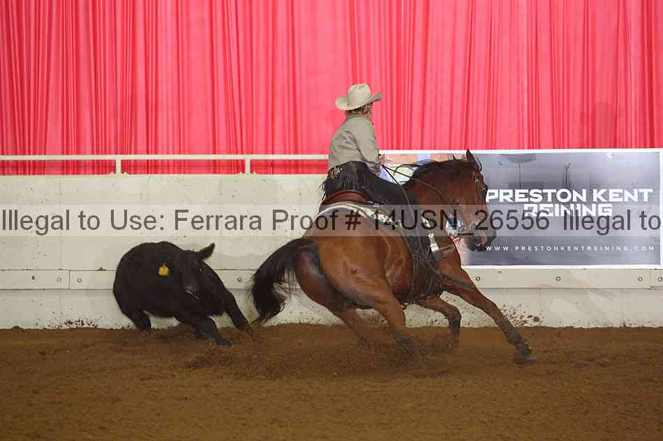 Proof 14usn_26556