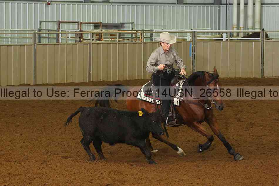 Proof 14usn_26558