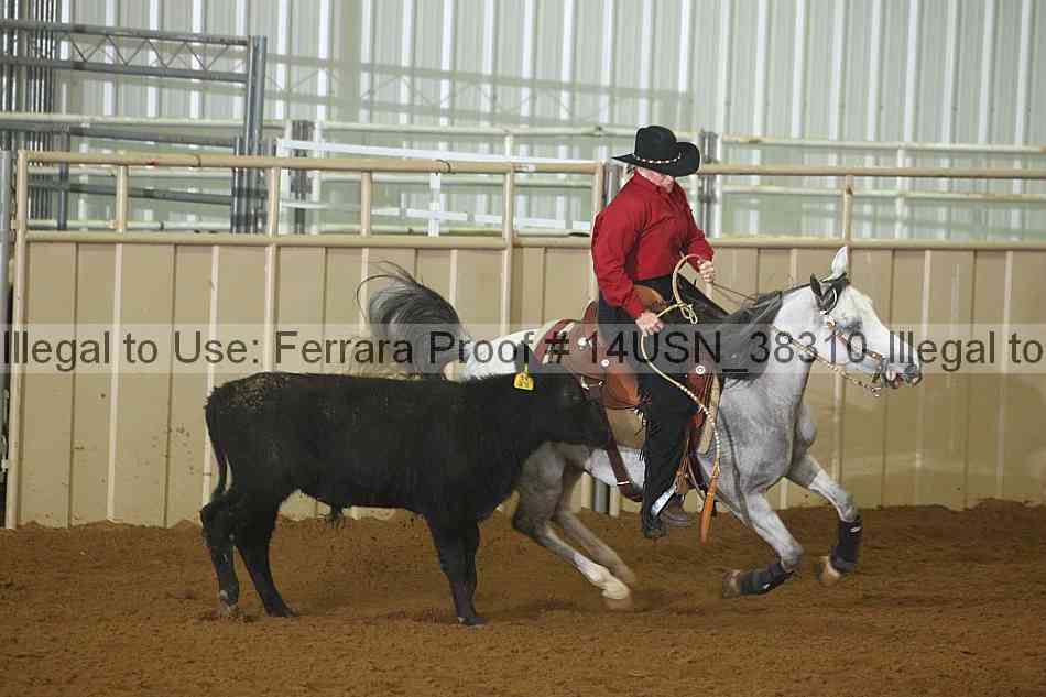 Proof 14usn_38310