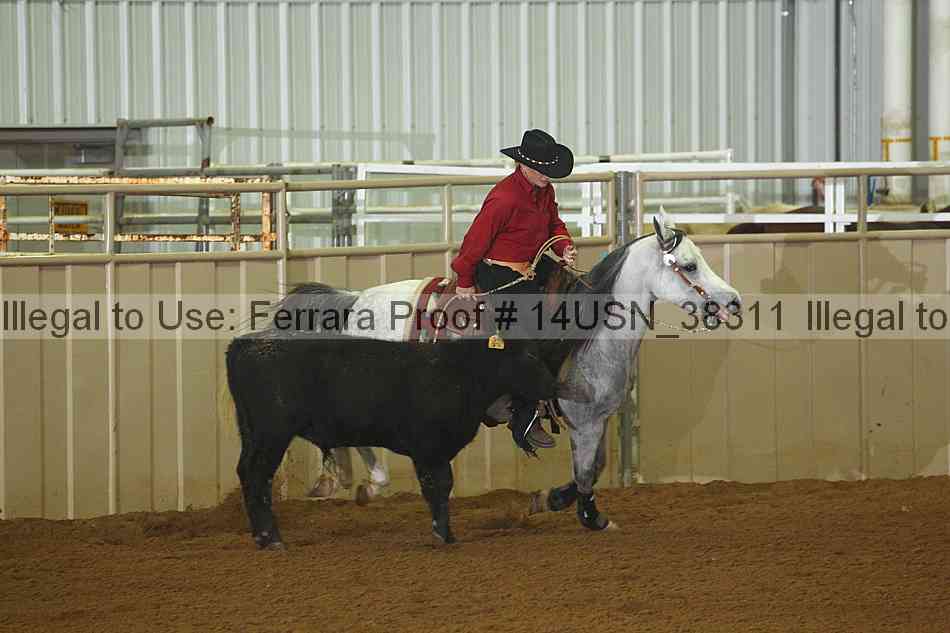 Proof 14usn_38311