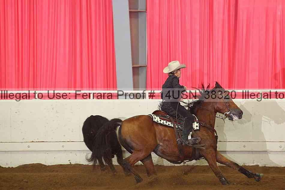 Proof 14usn_38320