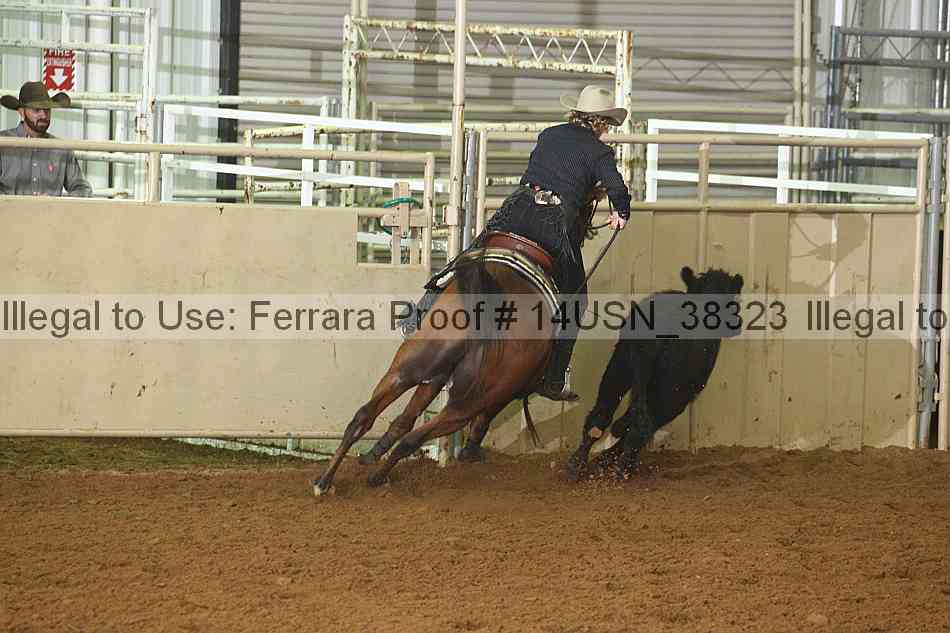 Proof 14usn_38323