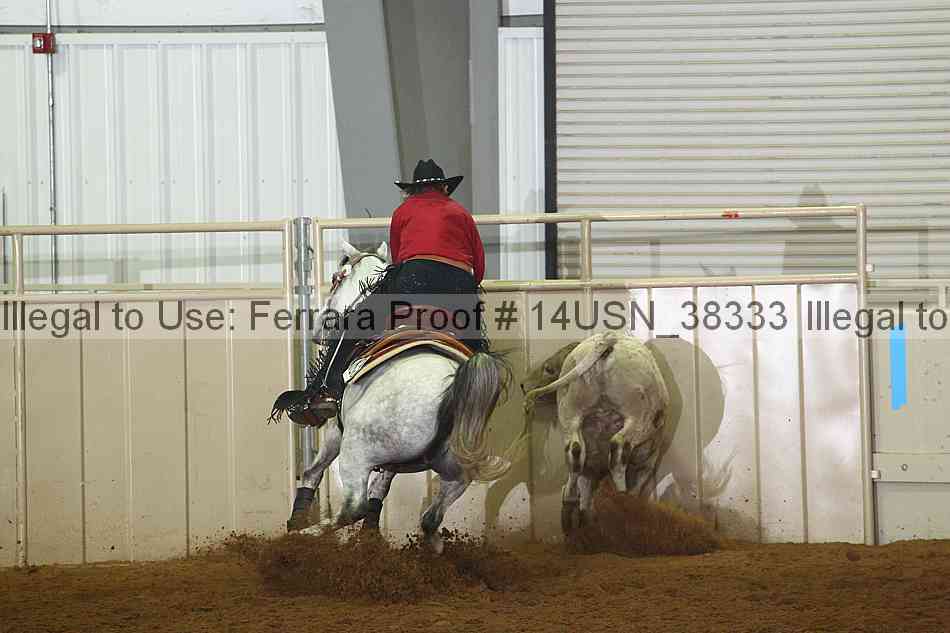 Proof 14usn_38333