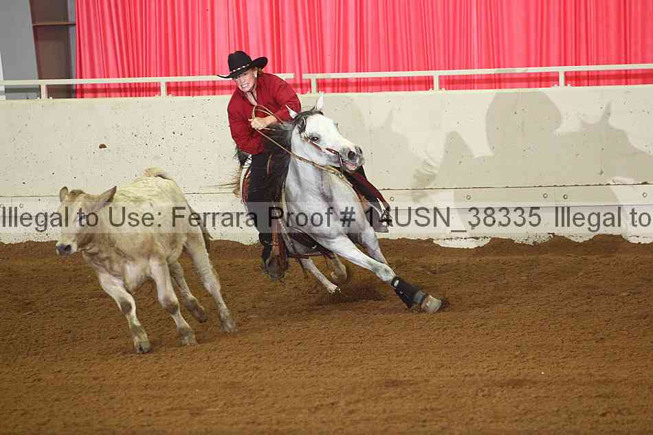 Proof 14usn_38335