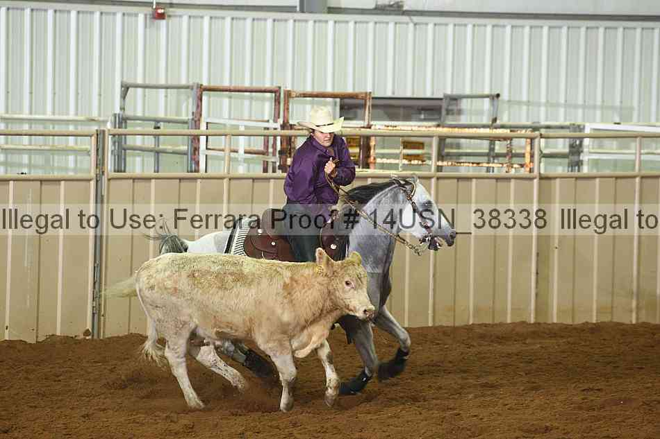 Proof 14usn_38338