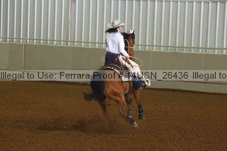 Proof 14usn_26436