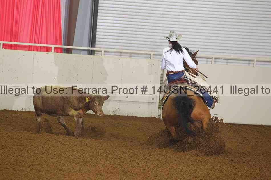 Proof 14usn_26441