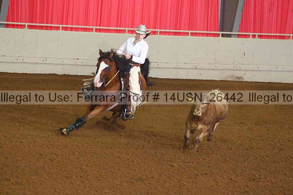 Proof 14usn_26442