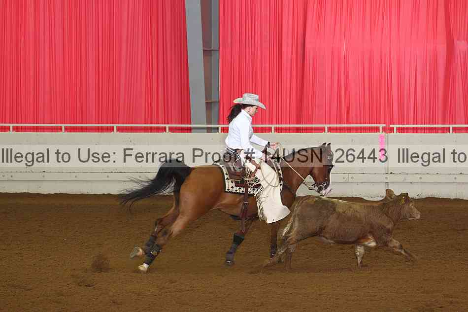 Proof 14usn_26443