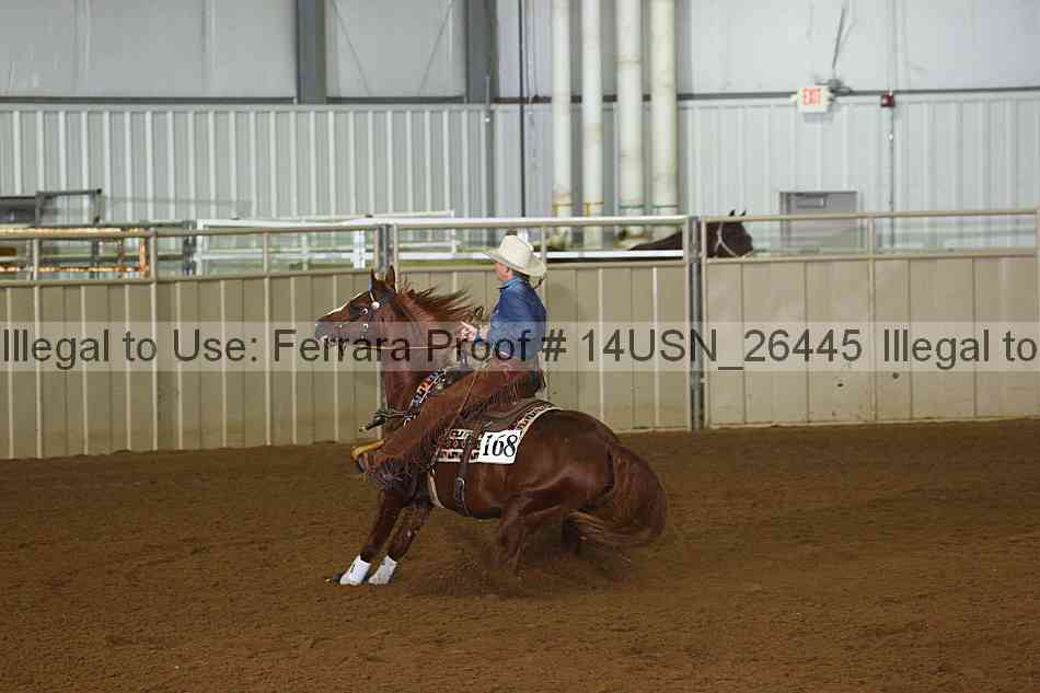 Proof 14usn_26445