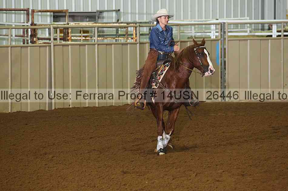 Proof 14usn_26446