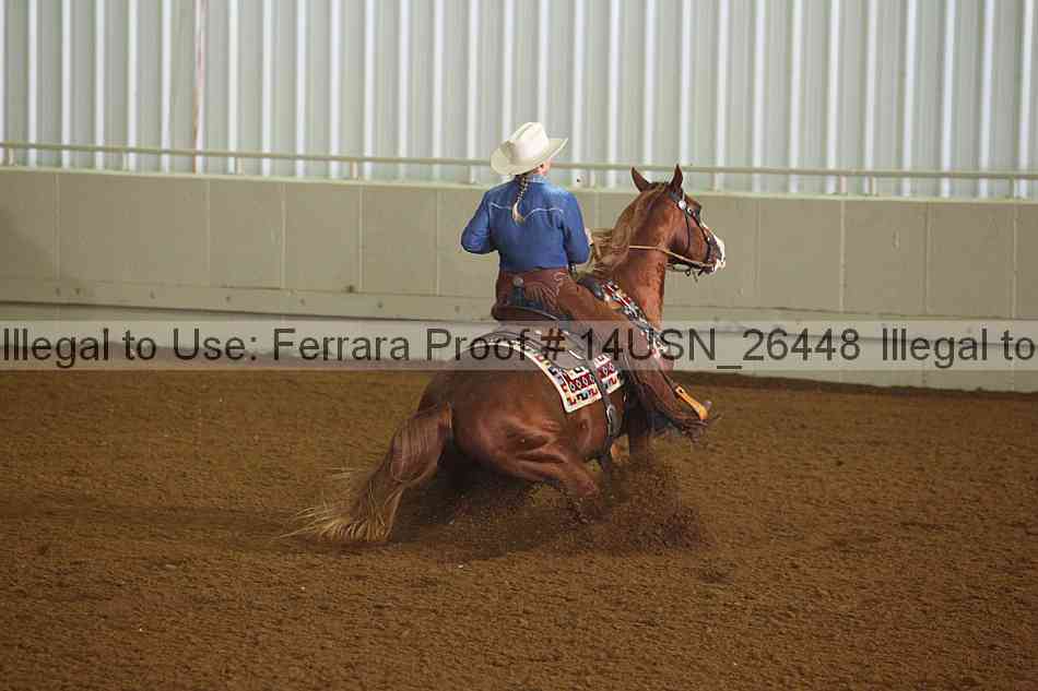 Proof 14usn_26448