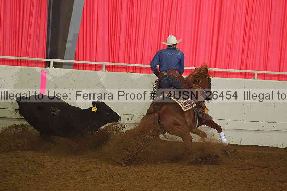 Proof 14usn_26454