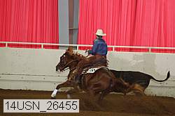 14usn_26455 proof