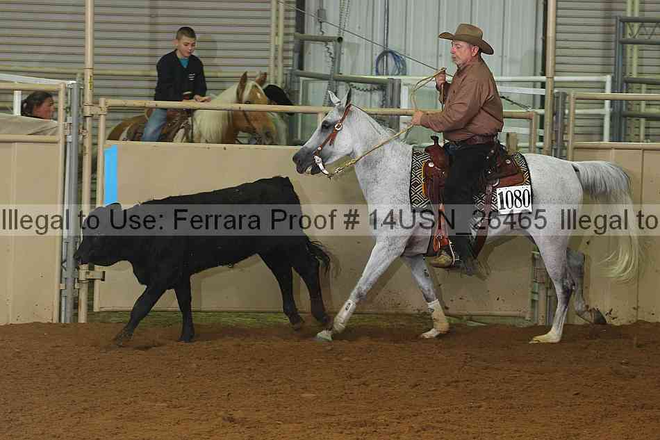 Proof 14usn_26465