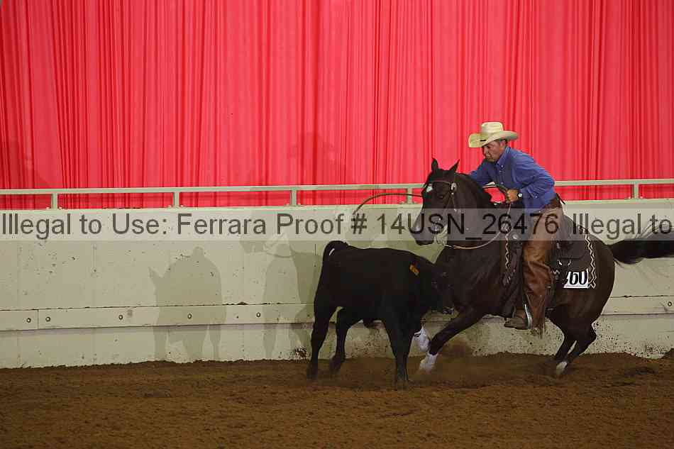 Proof 14usn_26476