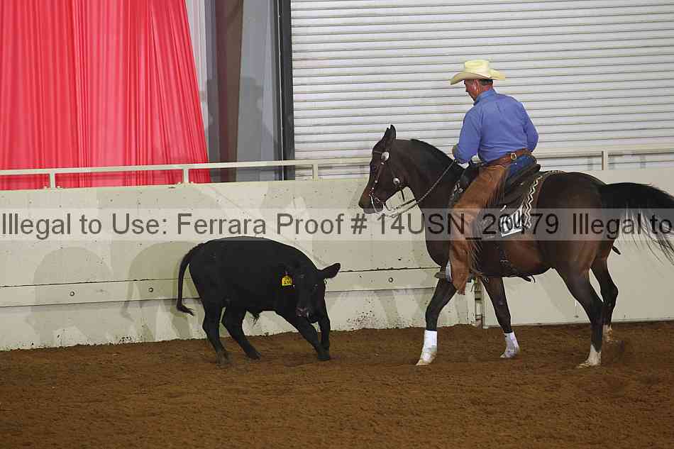 Proof 14usn_26479