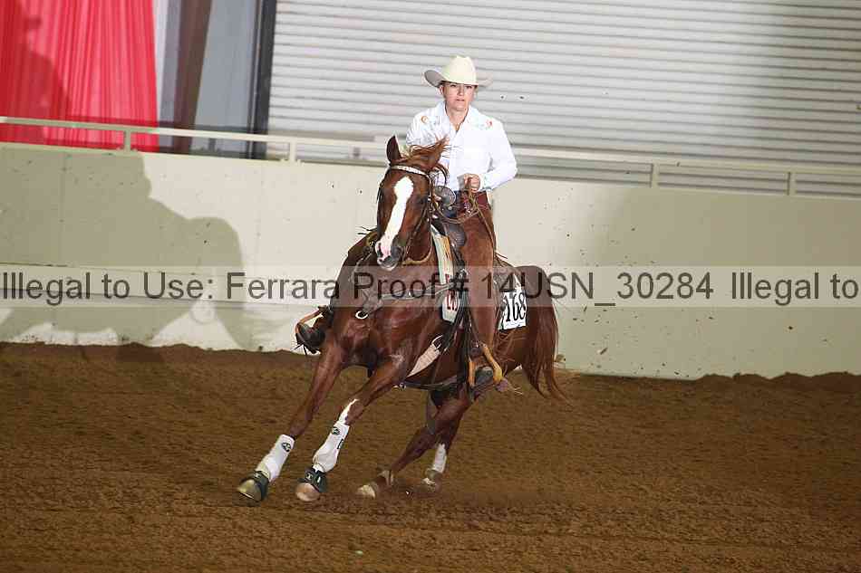 Proof 14usn_30284
