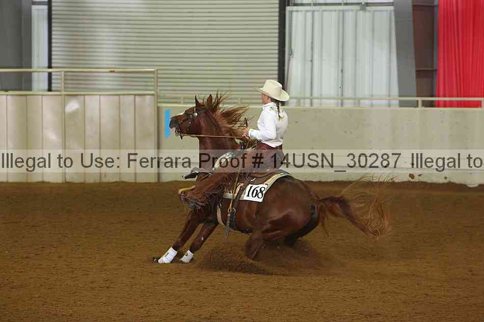 Proof 14usn_30287