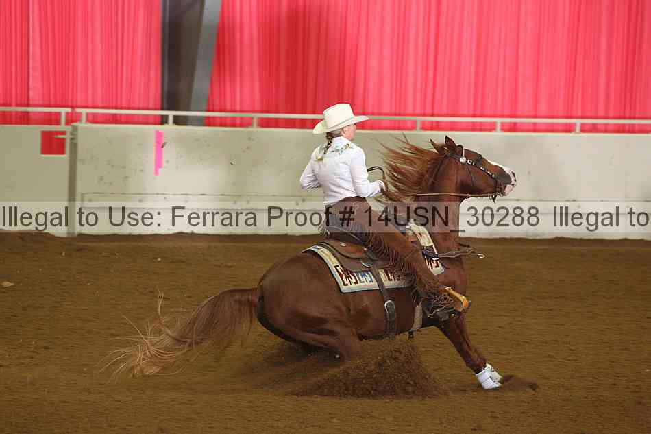 Proof 14usn_30288