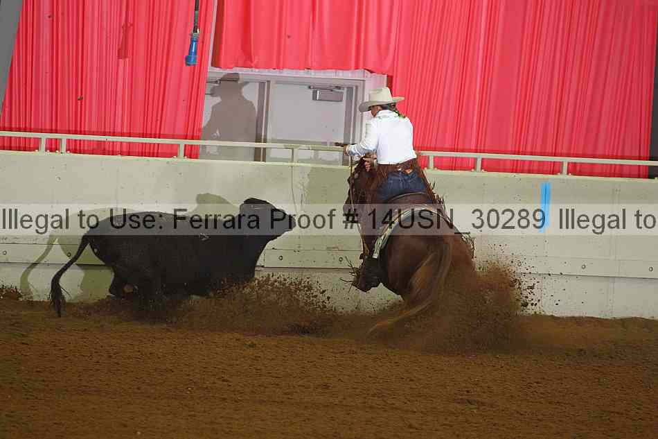 Proof 14usn_30289