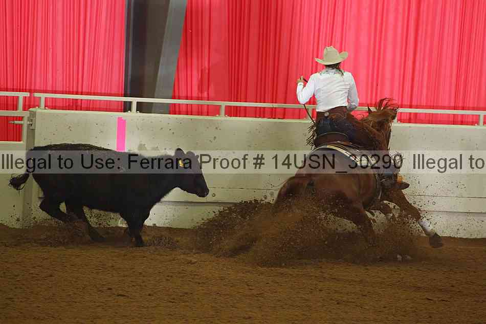Proof 14usn_30290