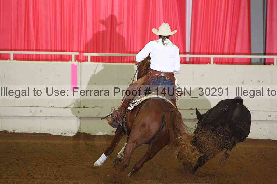 Proof 14usn_30291