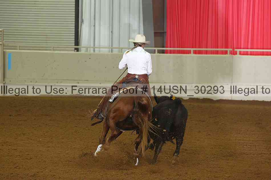 Proof 14usn_30293