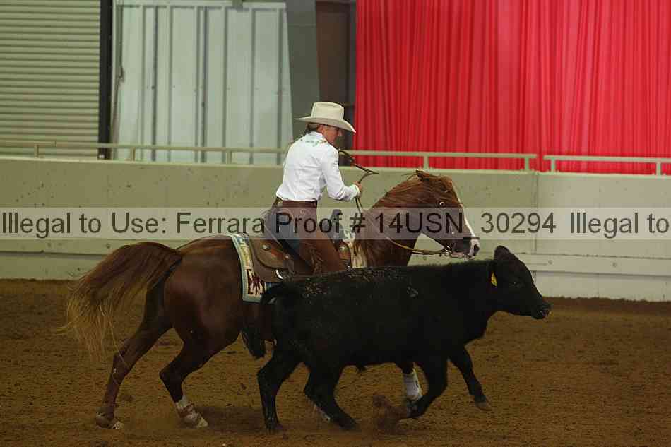 Proof 14usn_30294