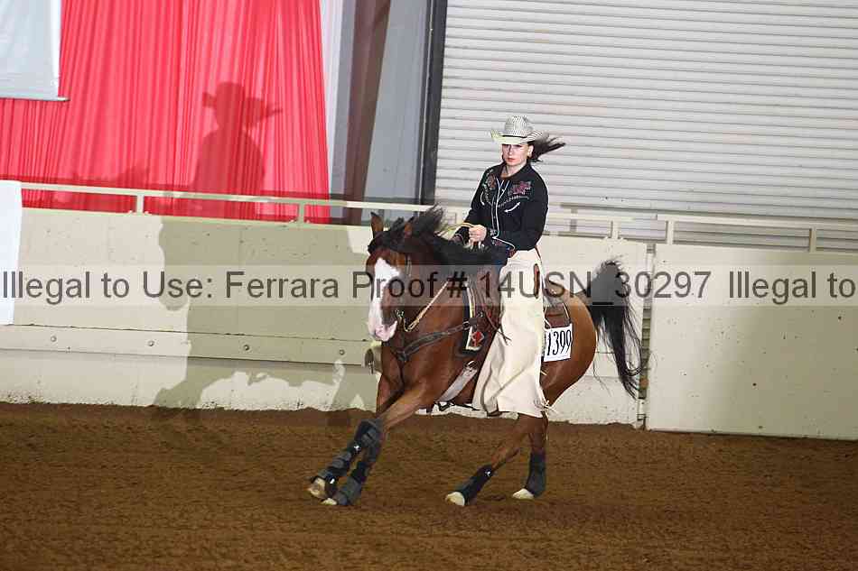 Proof 14usn_30297