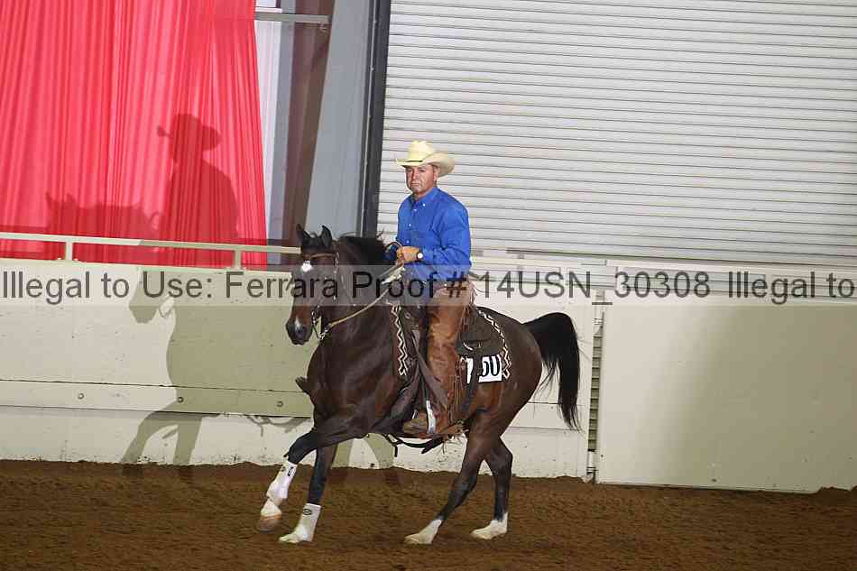 Proof 14usn_30308