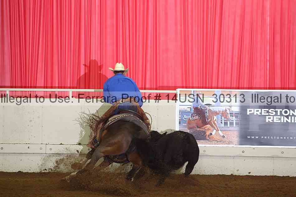 Proof 14usn_30313