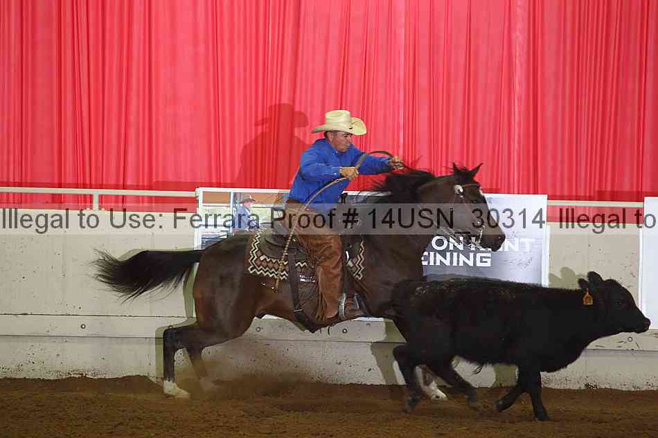 Proof 14usn_30314