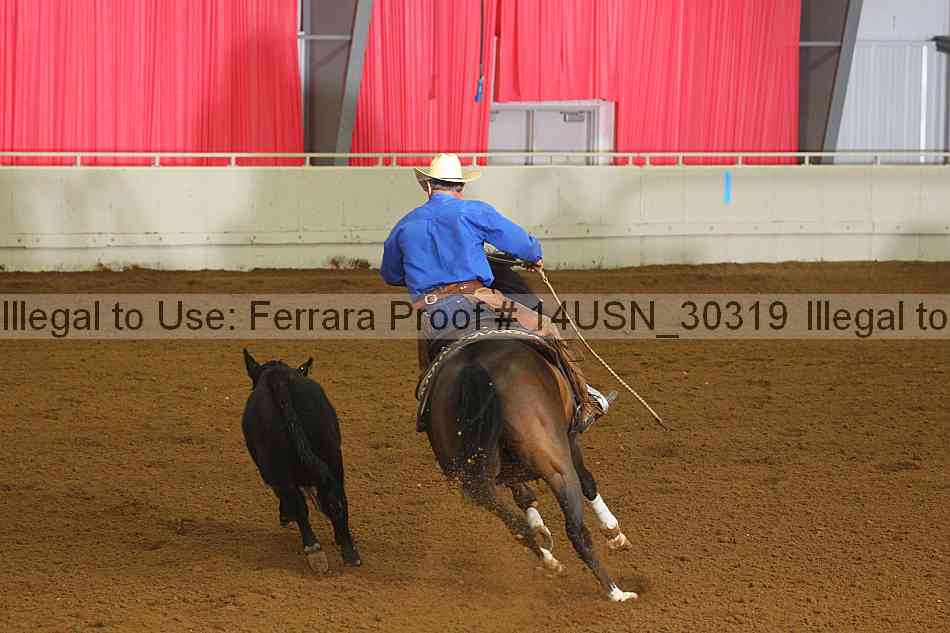 Proof 14usn_30319
