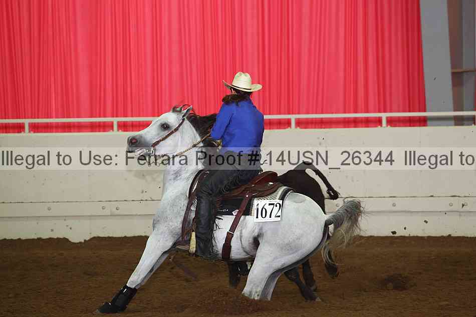 Proof 14usn_26344