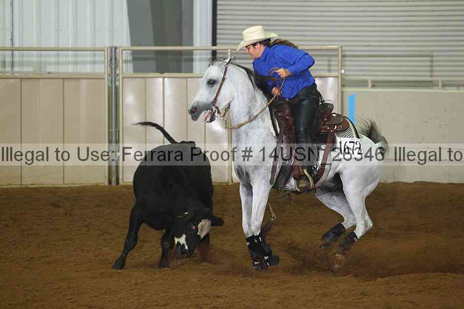 Proof 14usn_26346