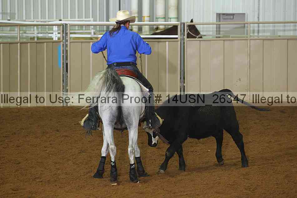 Proof 14usn_26347