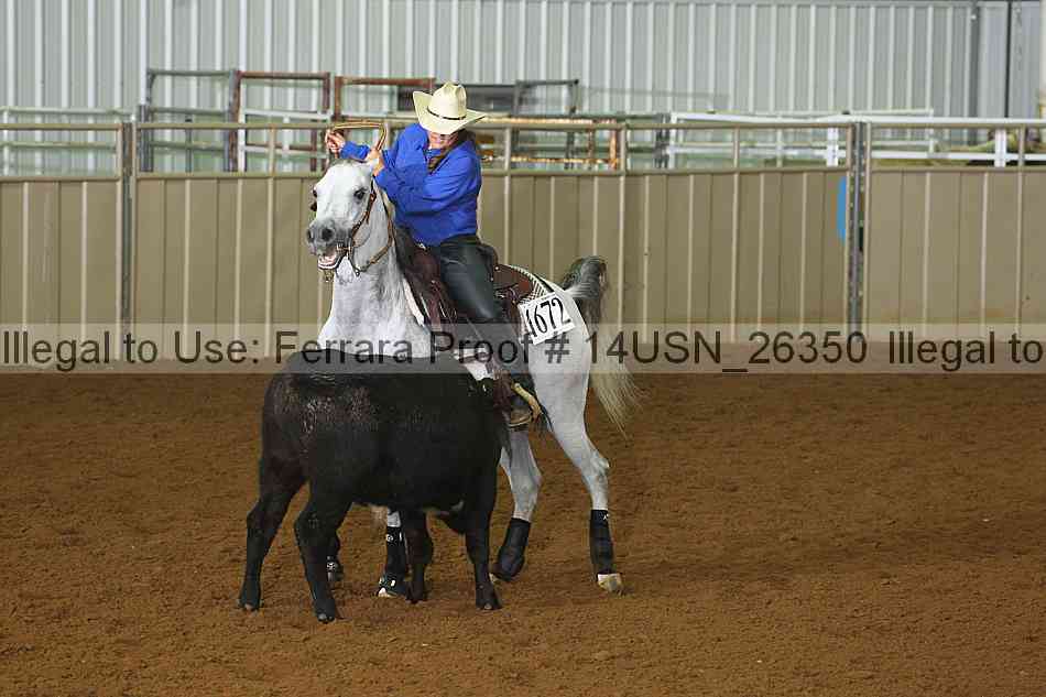 Proof 14usn_26350