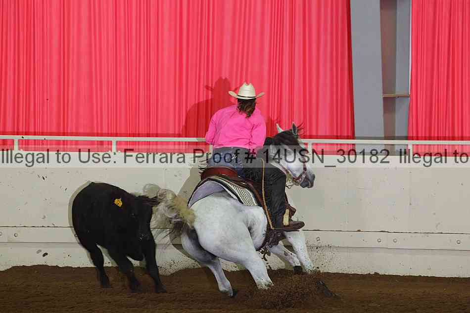 Proof 14usn_30182