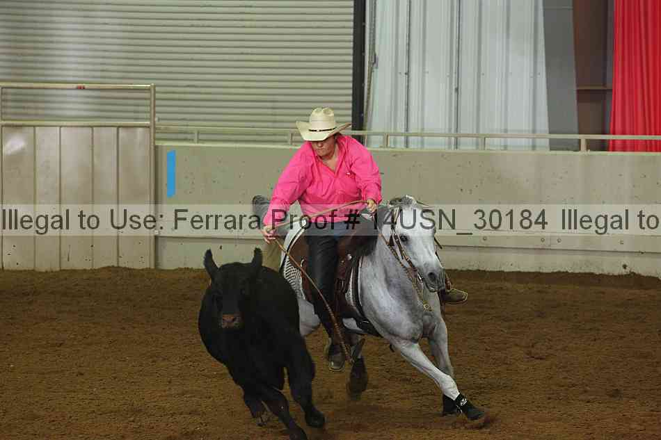 Proof 14usn_30184