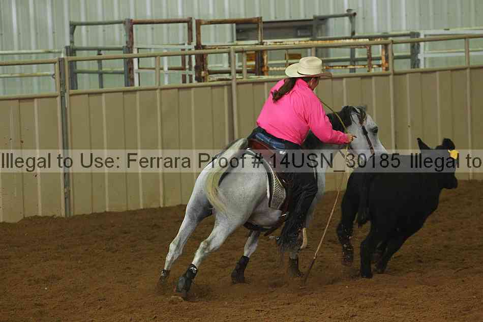 Proof 14usn_30185
