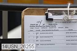 14usn_26255 proof