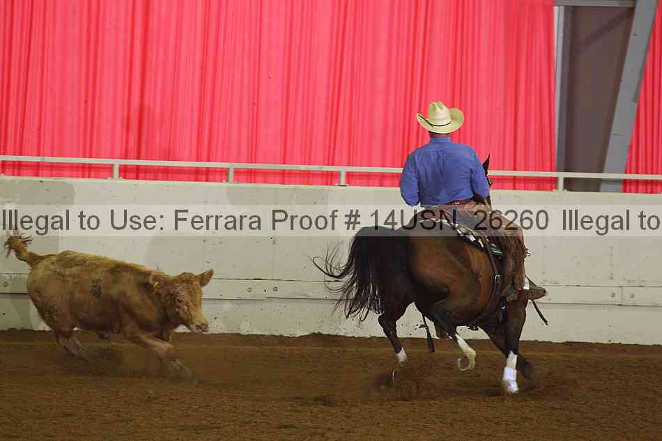 Proof 14usn_26260